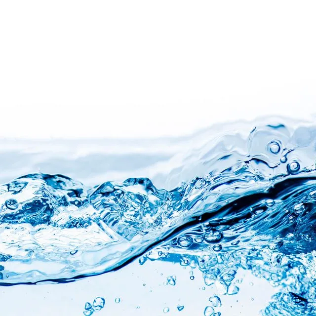 thumbnail for publication: Engaging High Water Users in Water Conservation #1: High Water Users' Experiences and Perceptions of Water